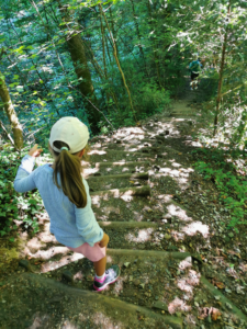 Wandern und Radfahren im Westallgäu - Wandern im Eistobel